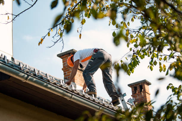 Best Roofing Contractor Near Me  in Troy, IL